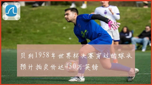 贝利1958年世界杯决赛穿过的球衣预计拍卖价达450万英镑