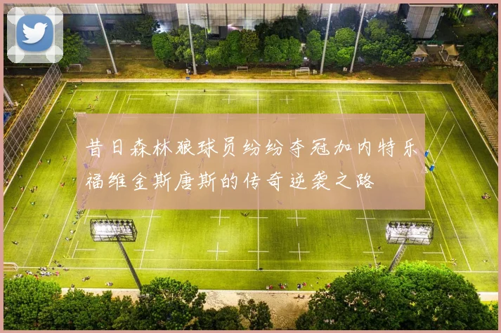 昔日森林狼球员纷纷夺冠加内特乐福维金斯唐斯的传奇逆袭之路